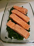 salmon-4230_150